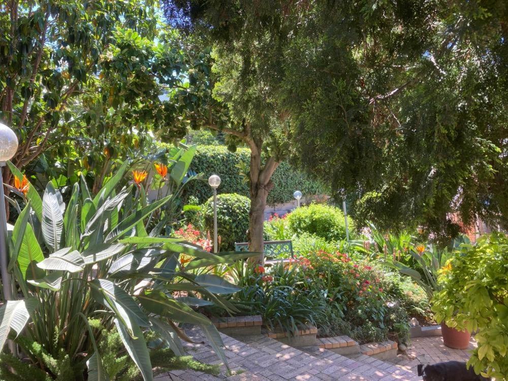 Maroela House Guest Accommodation เบลวิลล์ ภายนอก รูปภาพ